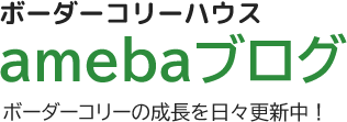 ボーダーコリーハウス Amebaブログ